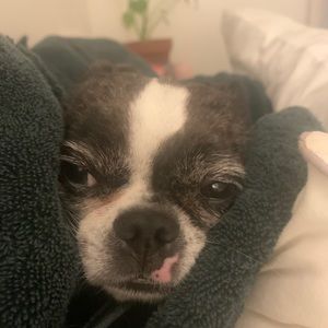 Meet your Posher, Hannah